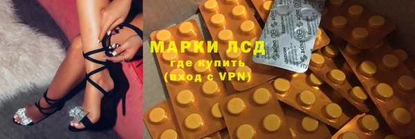 ECSTASY Алзамай