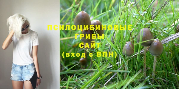spice Покачи