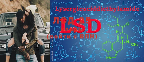 ECSTASY Алзамай