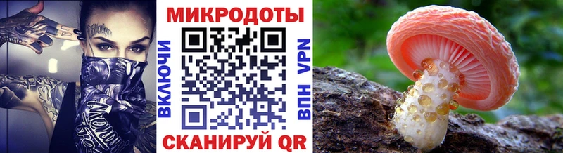 Галлюциногенные грибы Psilocybine cubensis  Сосновоборск 
